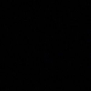 Meet your Posher, Scarlett